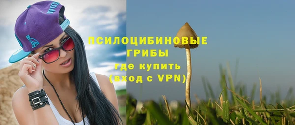 МДПВ Касимов