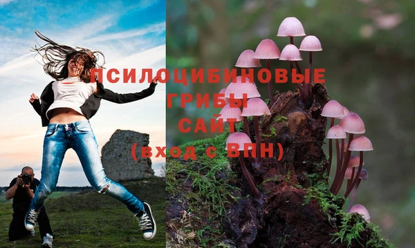 мескалин Карпинск
