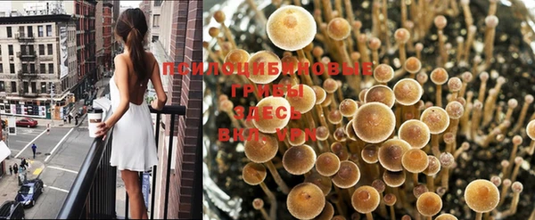 МДПВ Касимов